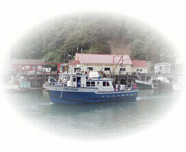 boat1.jpg (82039 bytes)