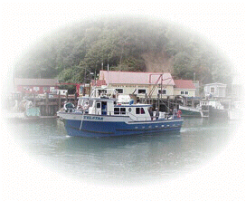 boat.gif (35064 bytes)